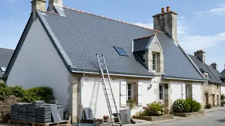 démoussage de toiture à Carquefou - image 4