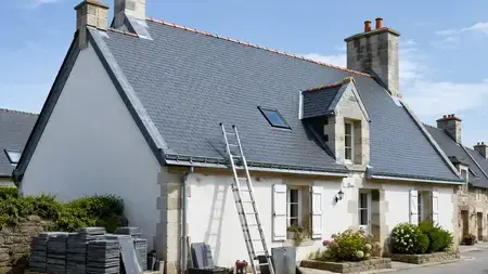 démoussage de toiture à Mauves-sur-Loire - image 2