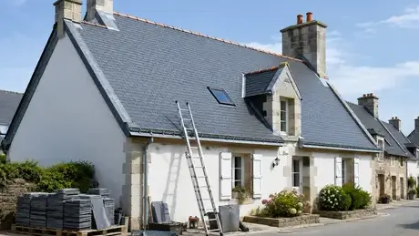 démoussage de toiture à Nort-sur-Erdre - image 3