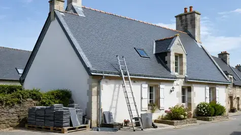 démoussage de toiture Saint-Herblain-5