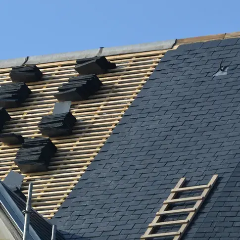 démoussage de toiture Sucé-sur-Erdre-1