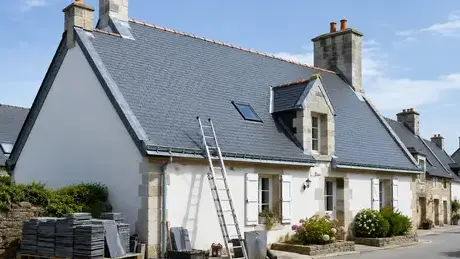démoussage de toiture Sucé-sur-Erdre-5