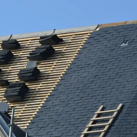 nettoyage de toiture à Mauves-sur-Loire - image 4
